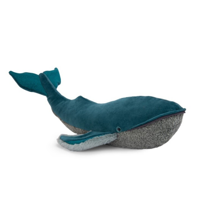 Ballena jorobada pequeña