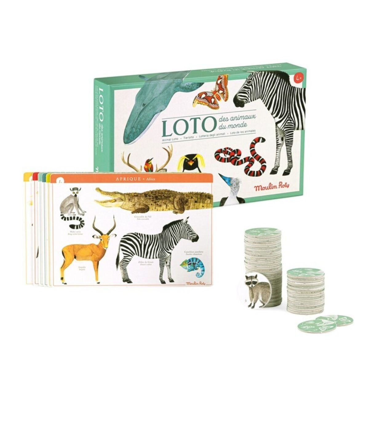 Loto animales del mundo