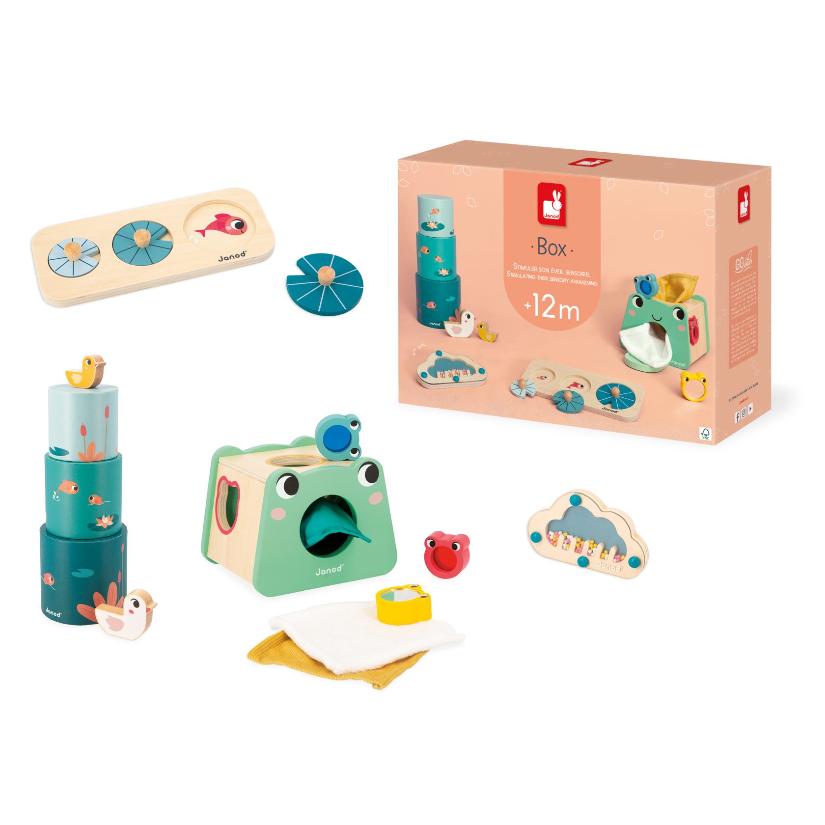 Box +12 meses
