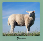 Animales de la granja 2