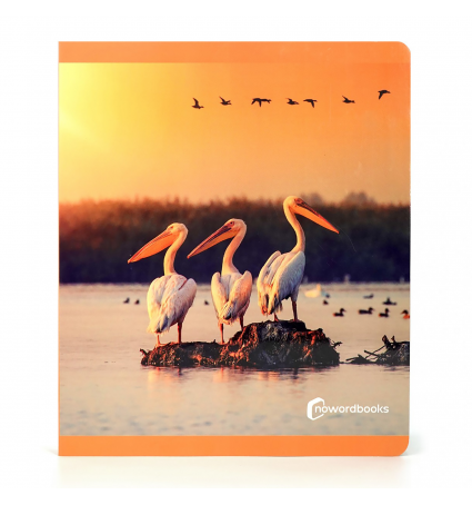 Imaxes aves