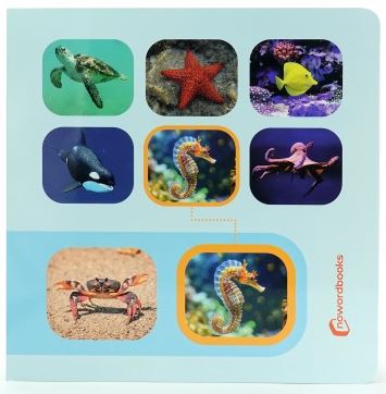 Busca y encuentra animales marinos