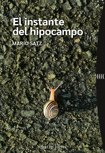 El instante del hipocampo